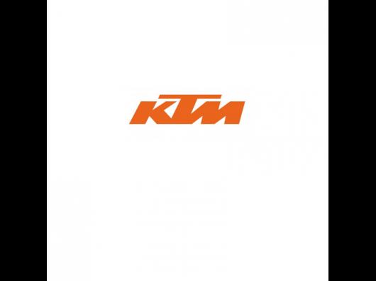 Autocollant Logo Orange 